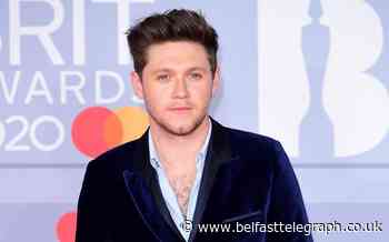 Niall Horan addresses One Direction reunion speculation