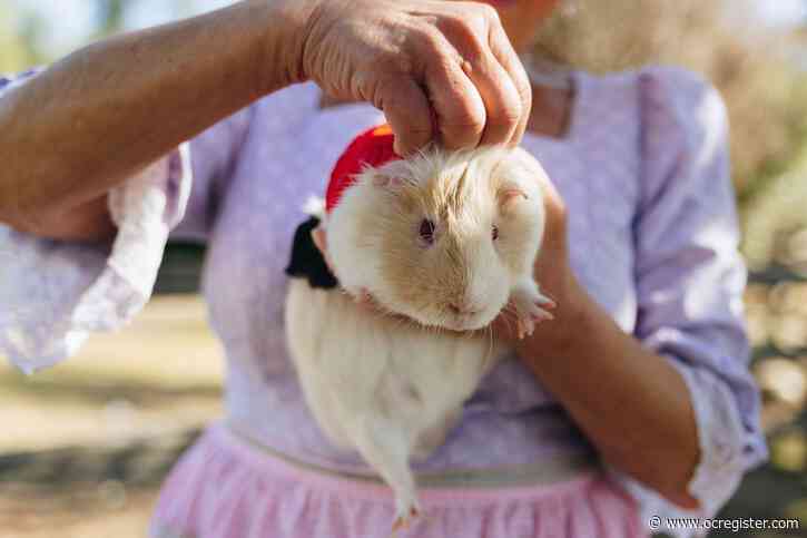 Pets big and small delight at Kid’s Pet Parade in San Juan Capistrano