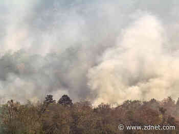 The Internet of Wild Things: Technology and the battle against biodiversity loss and climate change