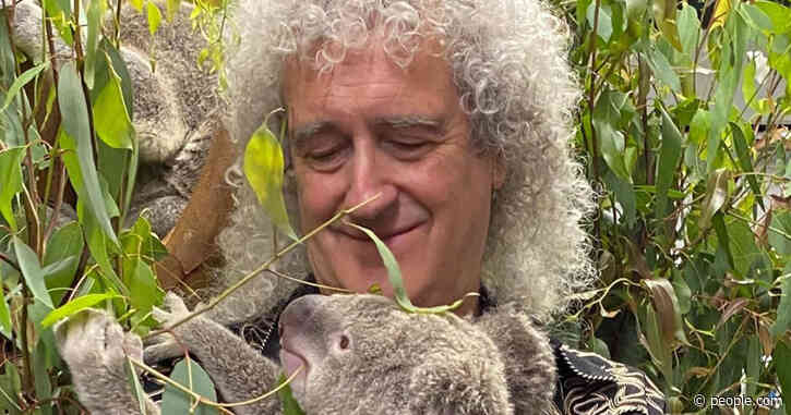 Queen's Brian May Shares 'Precious Moment' with Koala Before Australia Bushfire Relief Concert