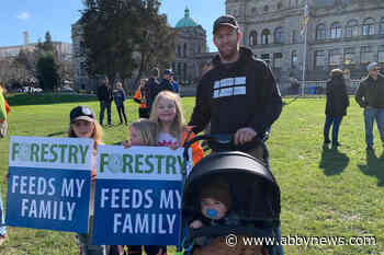 Forest industry supporters and convoy arrive at B.C. legislature in Victoria