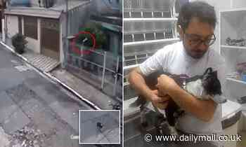Shocking moment man throws his family's pet dog over his fence for 'biting' his wife