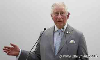 We've only got 10 years to save the planet, warns Prince Charles