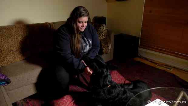 Calgary dog owner barks back at pet insurer when they disallow claim