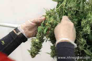 Medical marijuana grower moving from Portland to Rocky Hill - New Haven Register