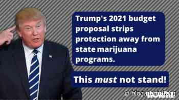 Tell Congress Not To Allow Trump To Roll Back Medical Marijuana... - NORML Blog