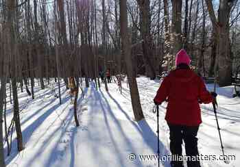 Orillia Naturalists' Club enjoys winter outing in the woods - OrilliaMatters.Com