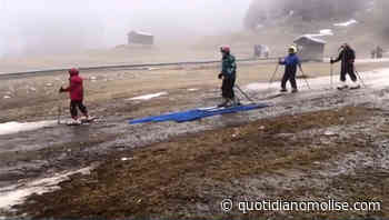 A Campitello si scia sull'erba e nel fango: «Stagione fallimentare» (IL VIDEO) - Il Quotidiano del Molse