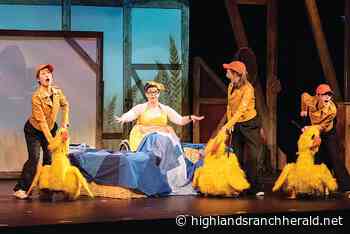 Ideas offer arts unlimited - Highlands Ranch Herald