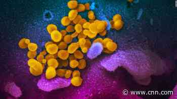 Large study reveals new information about deadly virus