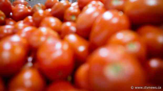 Pricey tomatoes, gas help drive Canadians' cost of living up in January
