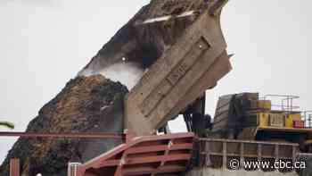 Oilsands on 'collision course' with Canada's climate goals, global market changes: report