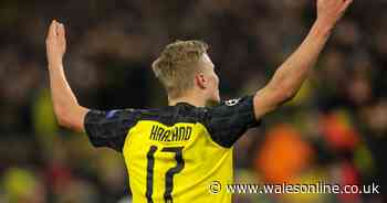 Erling Braut Haaland, the hottest prospect in world football right now, reveals Swansea City footballing idol