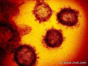 First 3D map of coronavirus protein paves way for vaccine design     - CNET