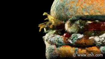 Burger King's gross new ad campaign