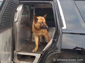 Frigo tracks down suspect in west-end carjacking: Police