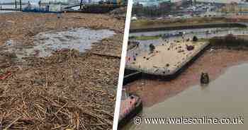 The mammoth task of cleaning up the River Taff and Cardiff Bay after Storm Dennis