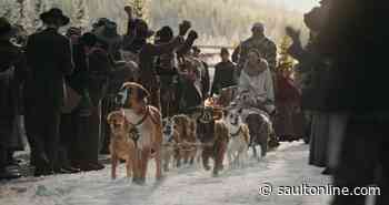 Cara Gee on the Indigenous pride and digital dog in ‘The Call of the Wild’