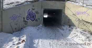No easy solution to safety, crime around pedestrian underpasses: Saskatoon police - Global News
