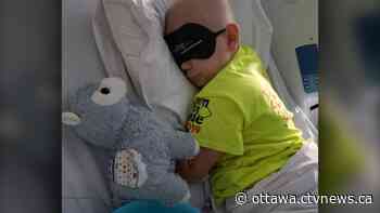 CHEO hunts for missing toy Llama as Ottawa boy undergoes treatment - CTV News