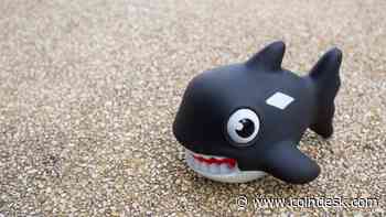 On-chain Activity Suggests Bitcoin Price Volatility Will Continue, Thanks to ‘Whales’