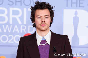 Harry Styles Is OK After He Was Reportedly Mugged at Knifepoint