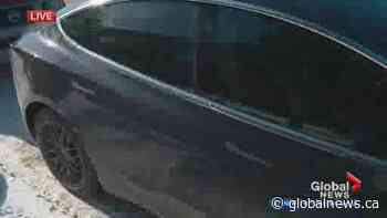 Debunking myths about electric vehicles in Alberta winter