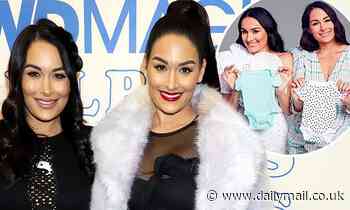 Nikki and Brie Bella shut down rumors that they underwent IVF in order to be pregnant together