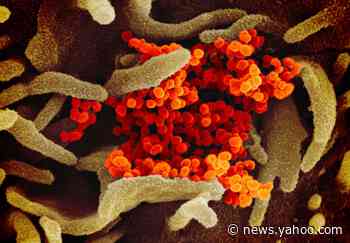 Coronavirus may be detectable before symptoms start