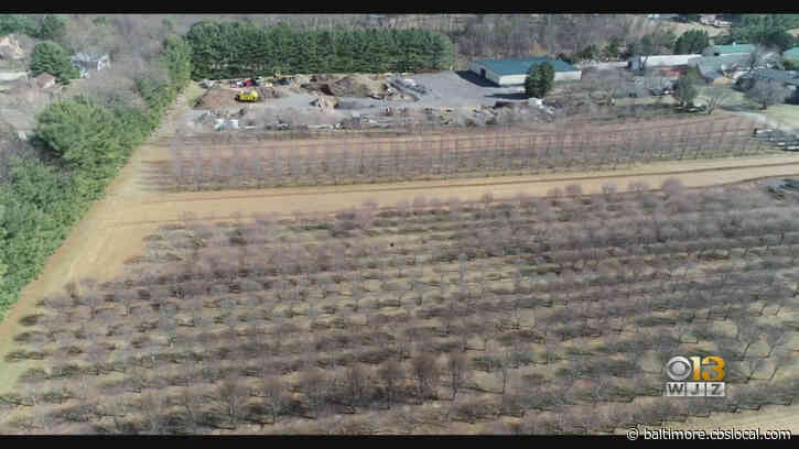 Bill Would Prevent Growing Industrial Hemp Within 2 Miles Of Residential Communities With 10 Or More Homes