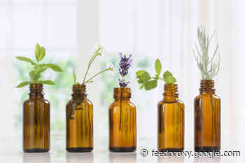 What Science Says About the Potential Healing Effects of Essential Oils