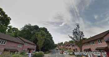 Man collapsed and died on friend's doorstep after night out - Wales Online