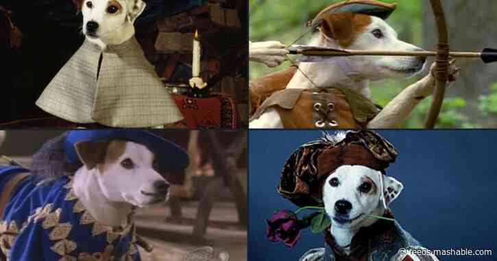 I don't know who needs to hear this, but the 'range' meme has the range