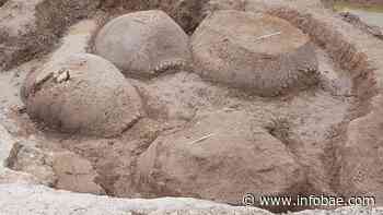 Hallaron restos de cuatro gliptodontes en Bolívar - infobae