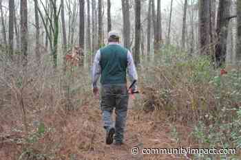 Fighting for the forest: Sam Houston National Forest in need of funding - Community Impact Newspaper