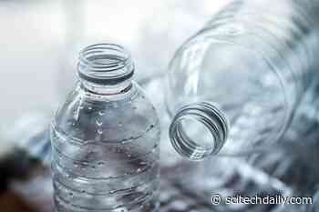 Scientists Warn That BPA-Free Plastic Products Could Be Just as Harmful to Human Health