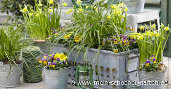 Wir Sind Blumen In Gottes Garten Mittelbayerische Blumen