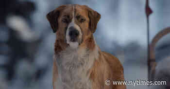‘The Call of the Wild’ Review: Man’s Best Friend? Cartoon Dog.