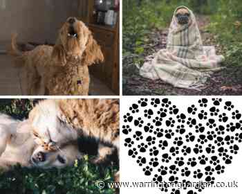 Love Your Pet Day 2020: Send us your pictures