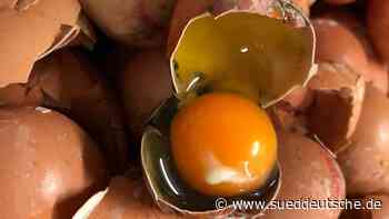 Lebensmittel - "Da sind Eier dabei, die verschimmelt sind" - Süddeutsche Zeitung