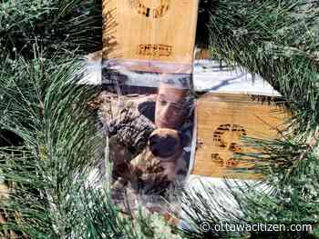 Brockville: Girl guilty of manslaughter, related charges in death of man in St. Lawrence River