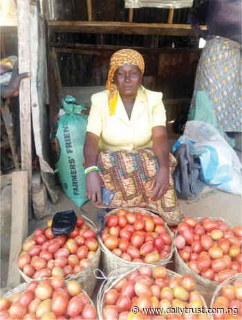 Jos women buying lands, building houses from vegetable sales - Market Leader - Daily Trust