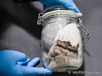 Human brain found in package originating from Toronto at U.S. border
