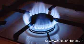 Energy customers warned over being 'fooled' on price cap