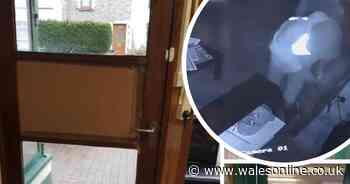 CCTV captures burglar rifling through shelves after break-in at Briton ferry barbers