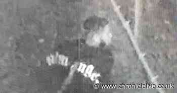 Police issue CCTV of man they want to trace after reported sexual assault in Newcastle