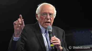 'West Wing' star knocks Sanders on medical records | TheHill - The Hill