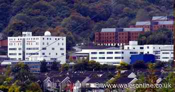 Ban on men's rugby lifted at University of South Wales after investigation into 'abusive' and 'unacceptable' behaviour