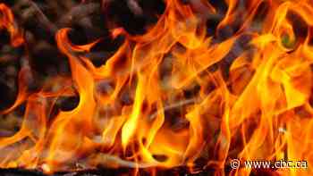 Police investigate 28 suspicious fires in central Saskatoon in less than a month