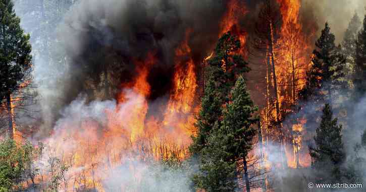 Report: Work to reduce wildfire risks has economic benefits